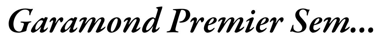 Garamond Premier Semibold Italic